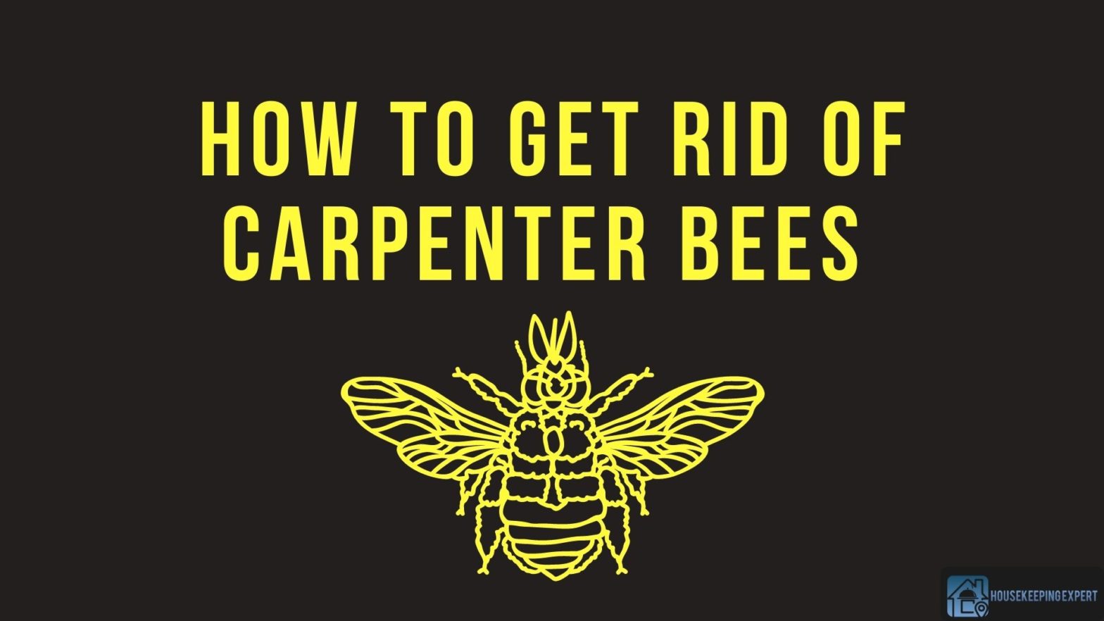 How To Get Rid Of Carpenter Bees