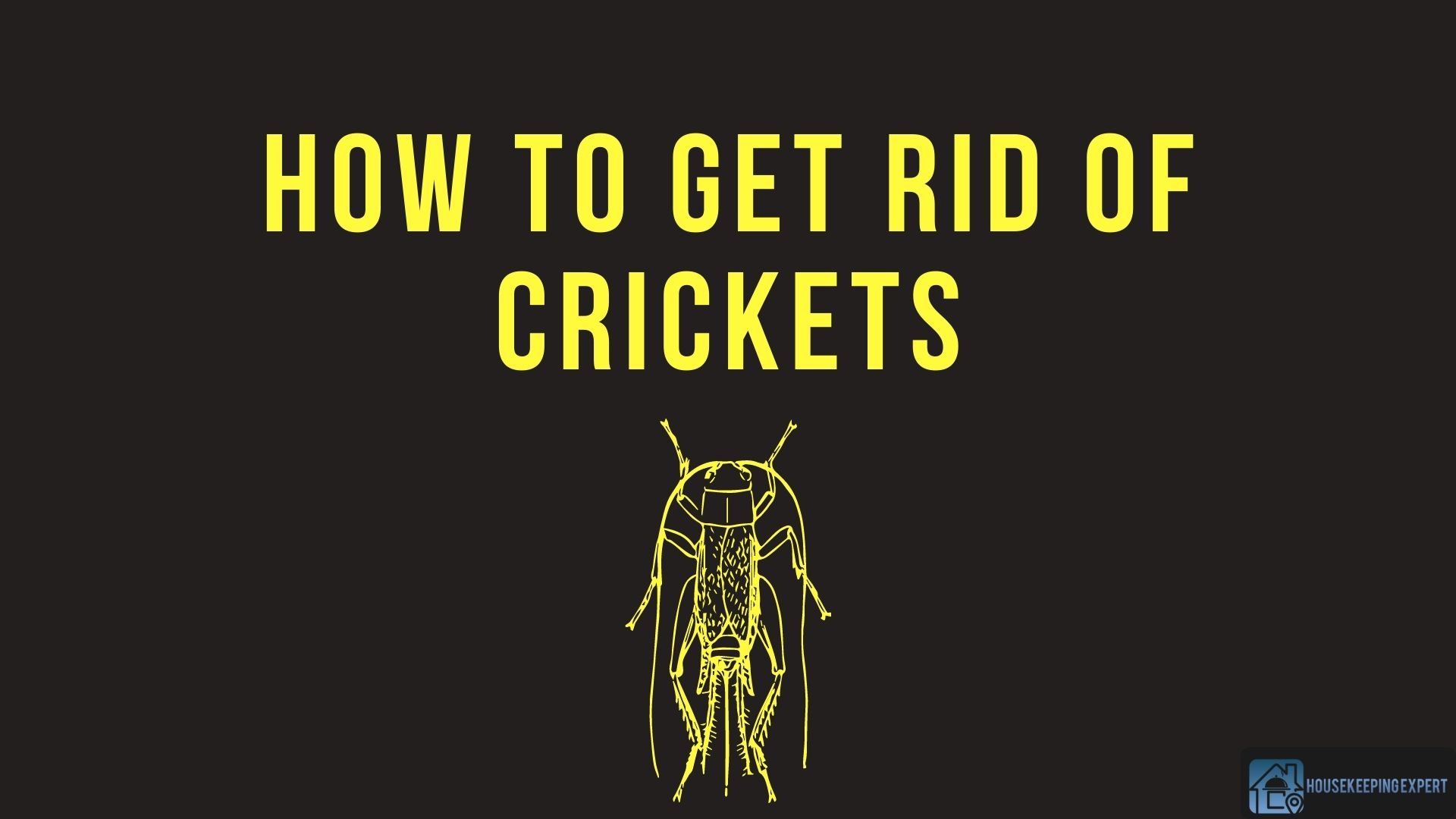 How To Get Rid Of Crickets