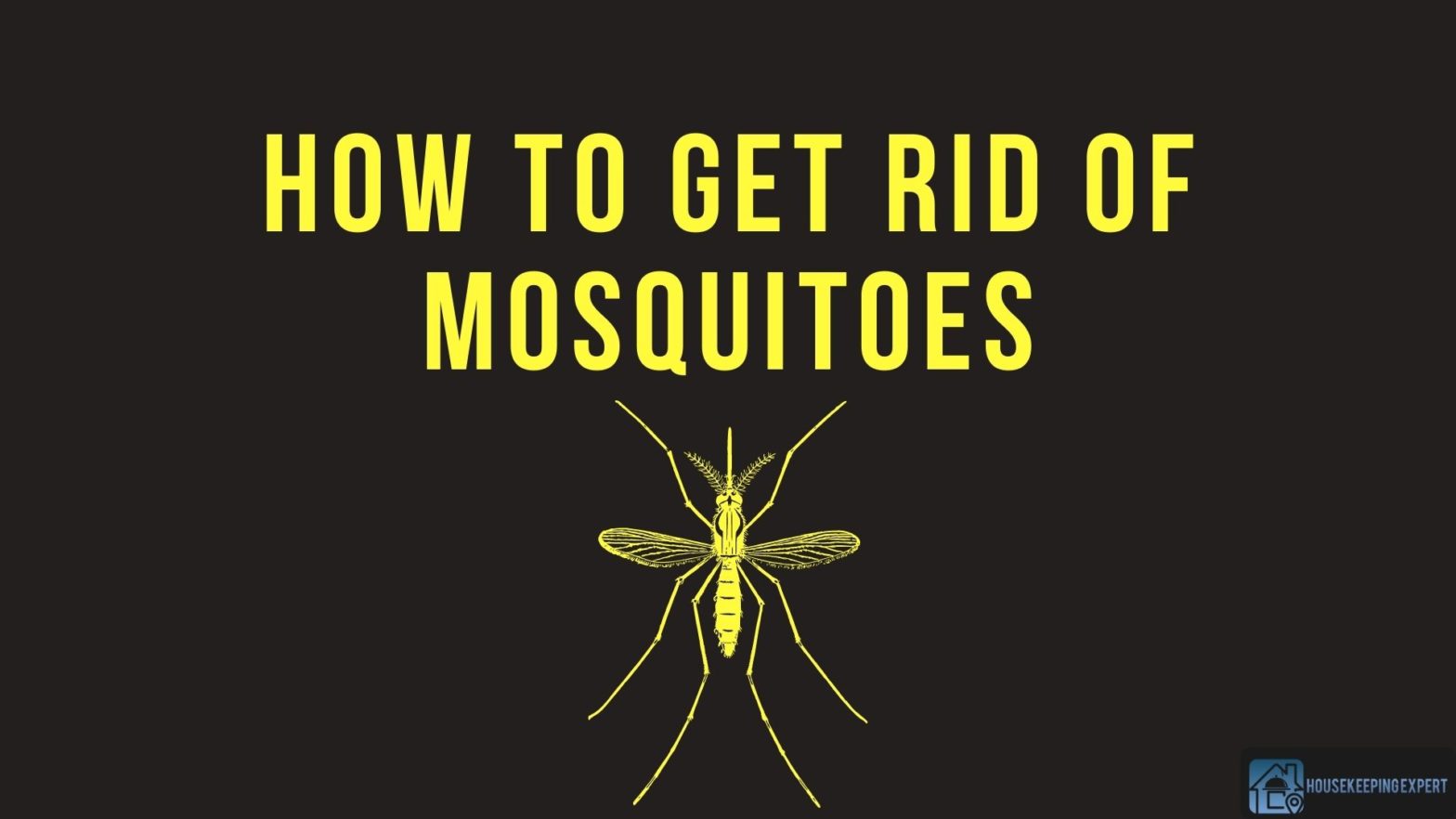 How To Get Rid Of Mosquitoes