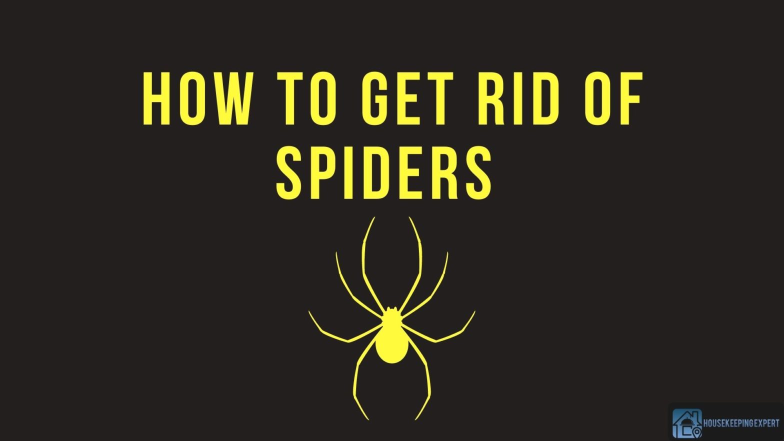 How To Get Rid Of Spiders