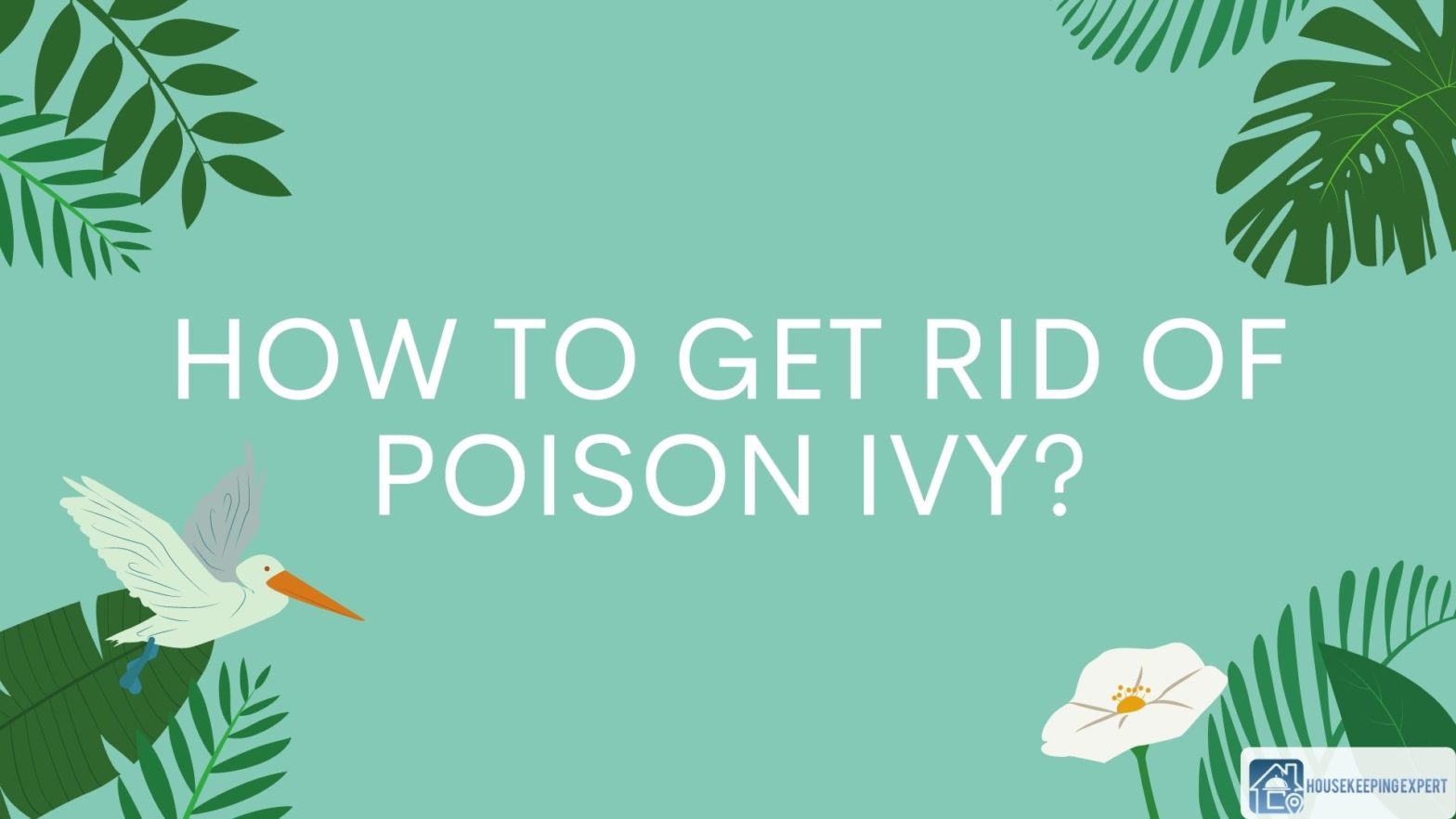 How To Get Rid Of Poison Ivy