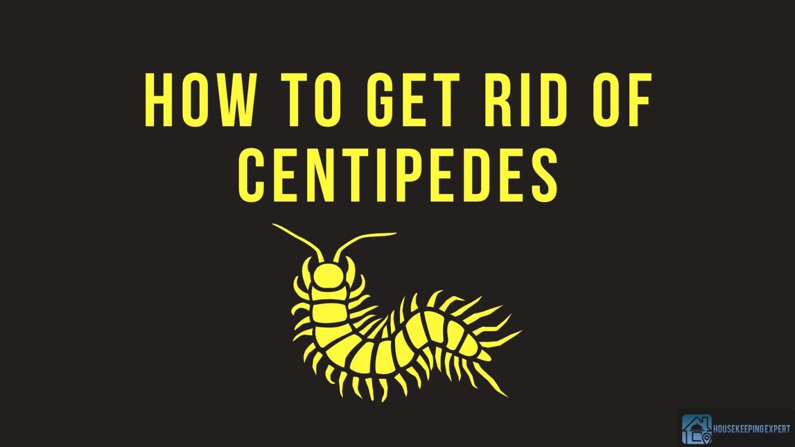 How To Get Rid Of Centipedes