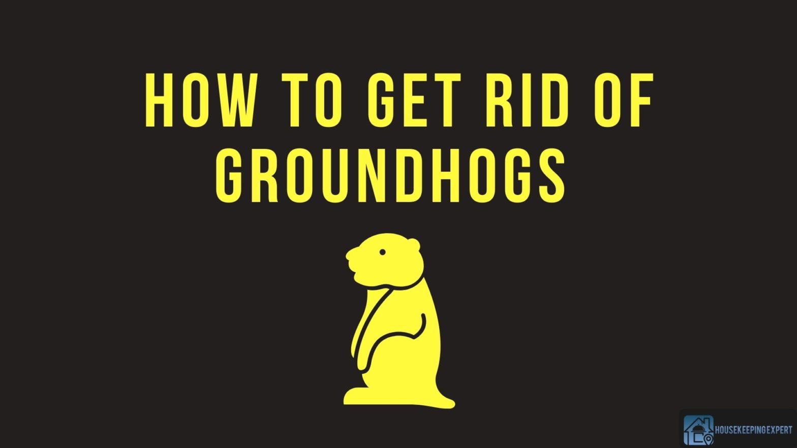 How To Get Rid Of Groundhogs