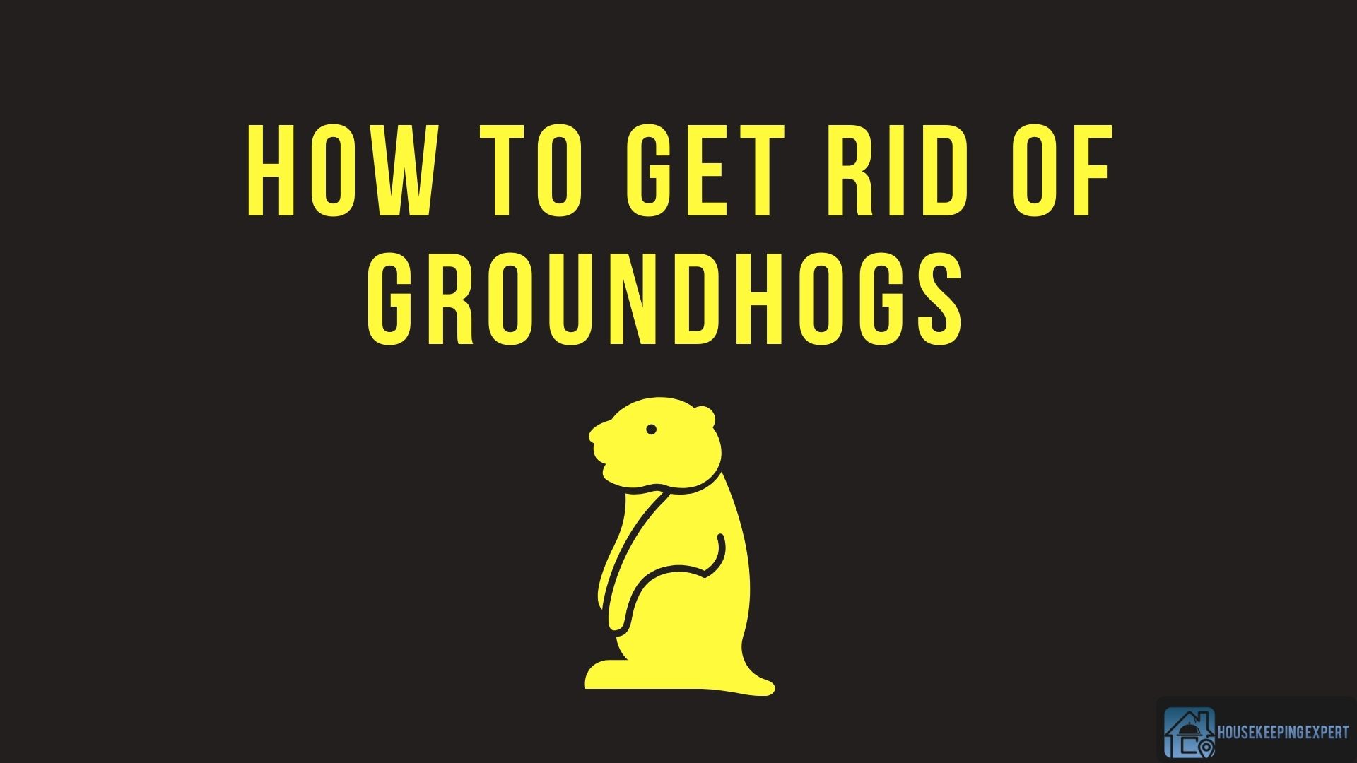 How to Get Rid of Groundhogs | 11 Effective Remedies