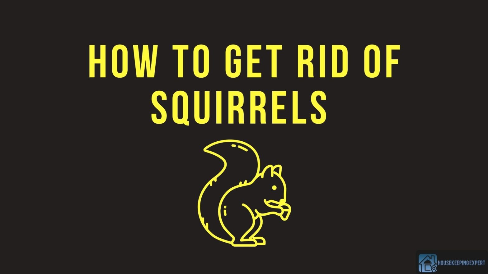 How To Get Rid Of Squirrels