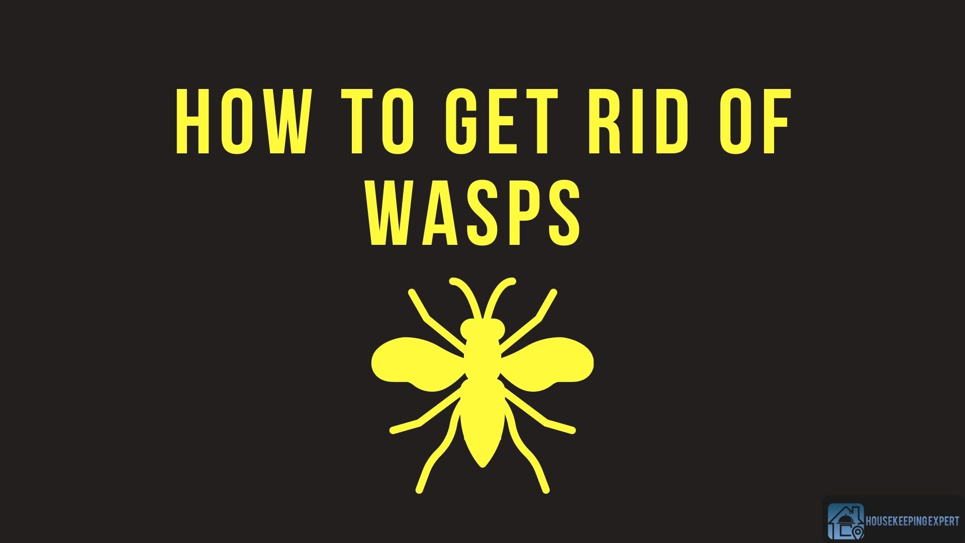 How to Get Rid of Wasps Easy Guide