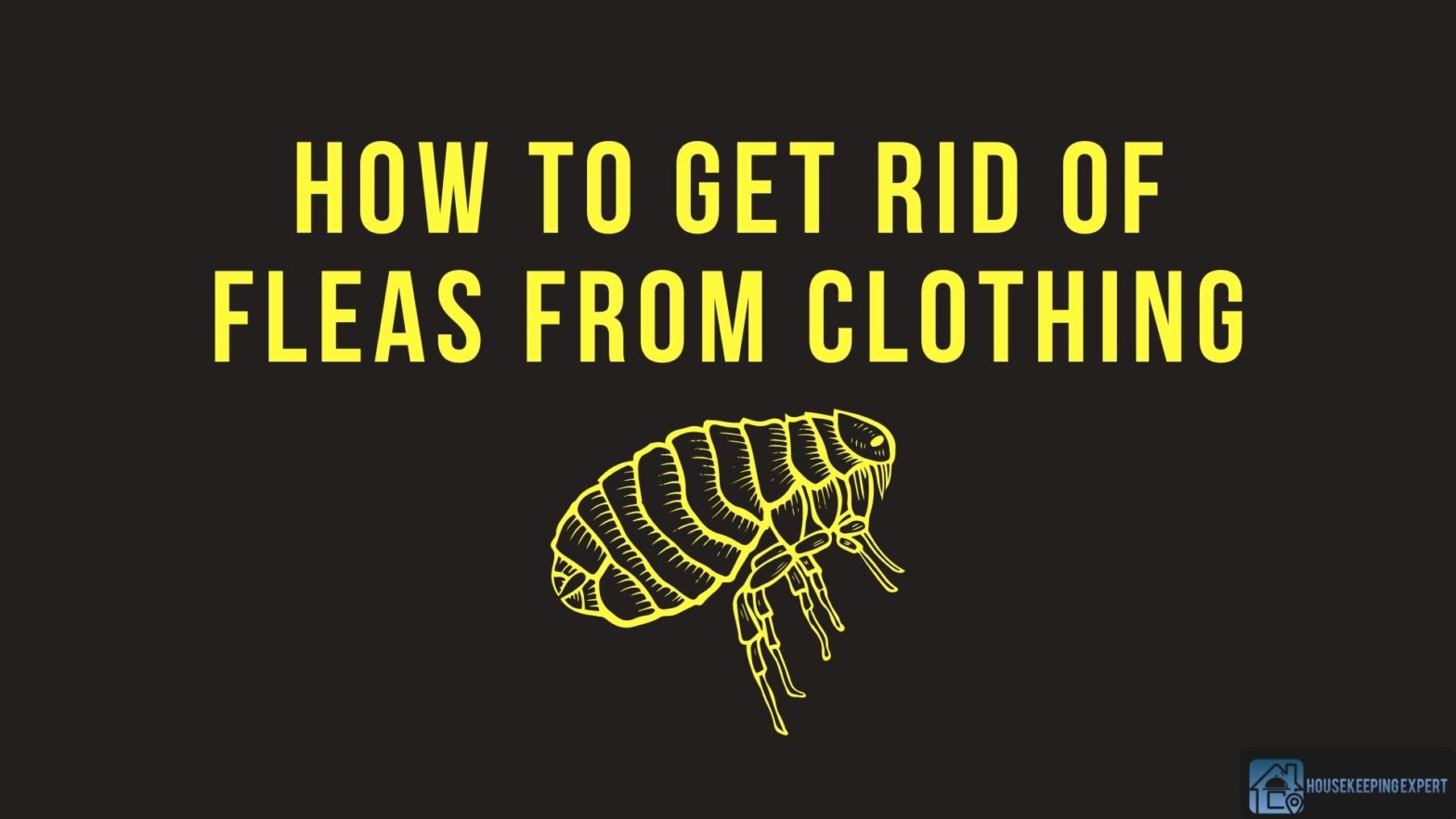 How To Get Rid Of Fleas From Clothing