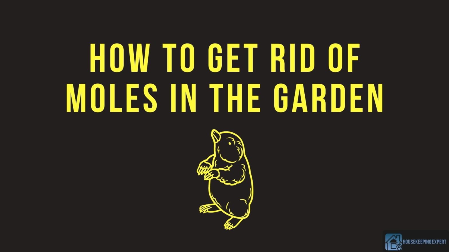How To Get Rid Of Moles In The Garden
