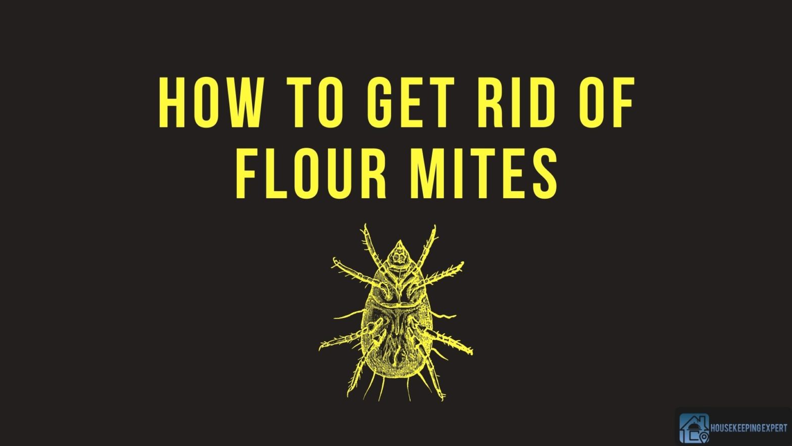 How To Get Rid Of Flour Mites