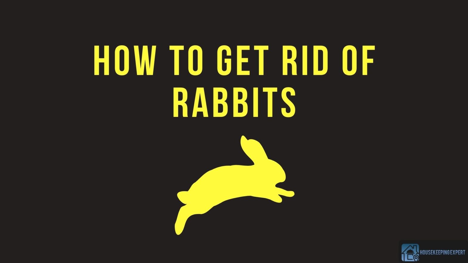 How To Get Rid Of Rabbits