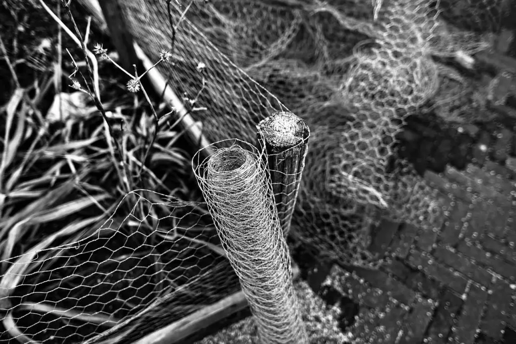 Chicken Wire Netting