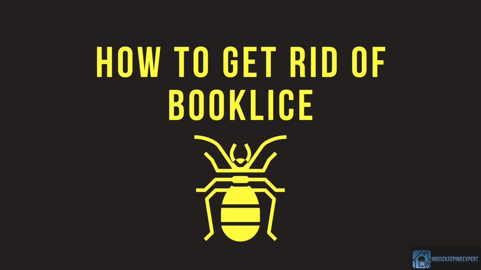 How To Get Rid Of Booklice