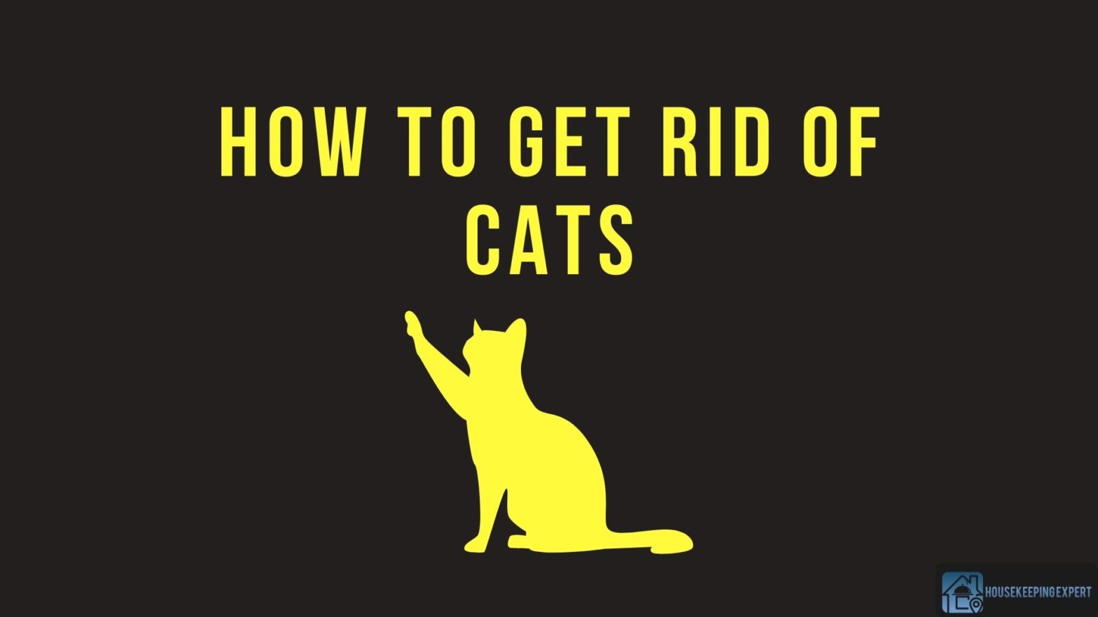 How To Get Rid Of Cats