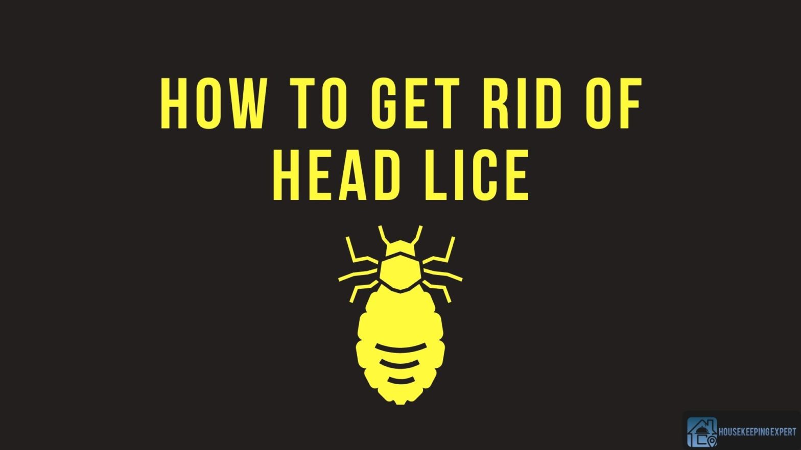 How To Get Rid Of Head Lice