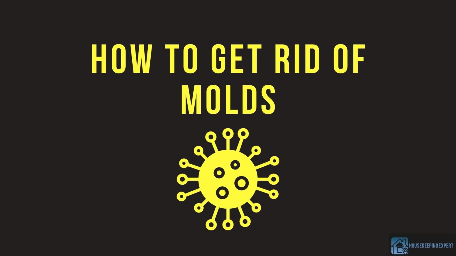 How To Get Rid Of Molds