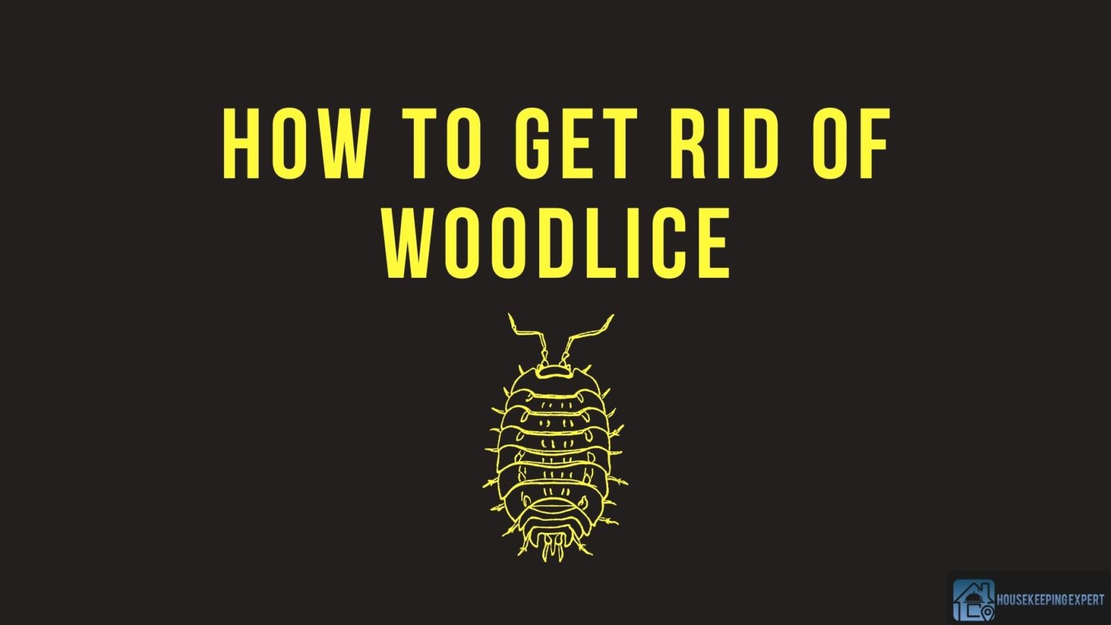 How To Get Rid Of Woodlice