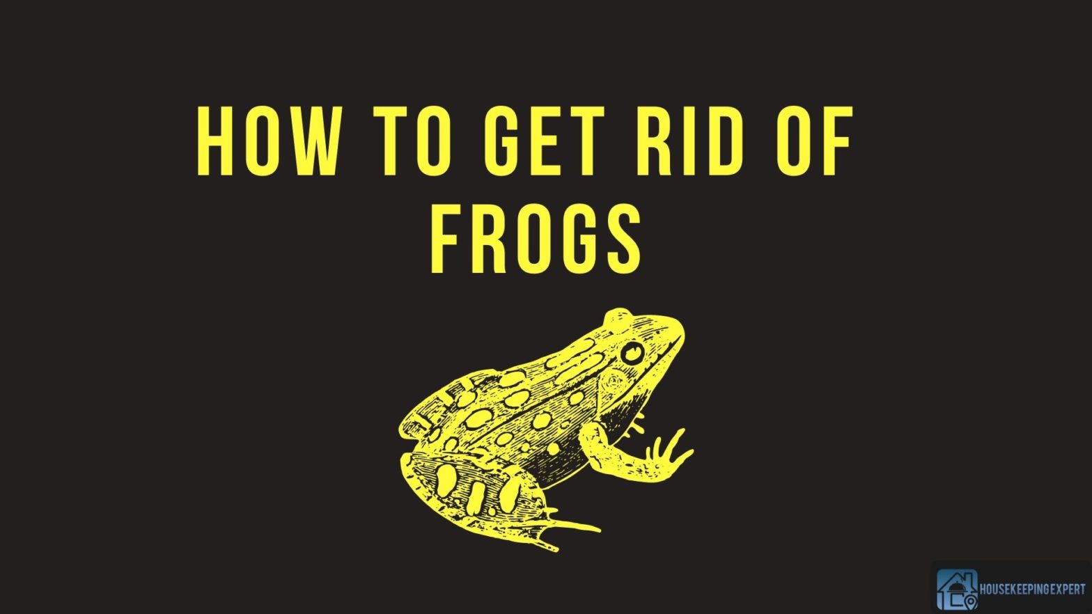 How To Get Rid Of Frogs