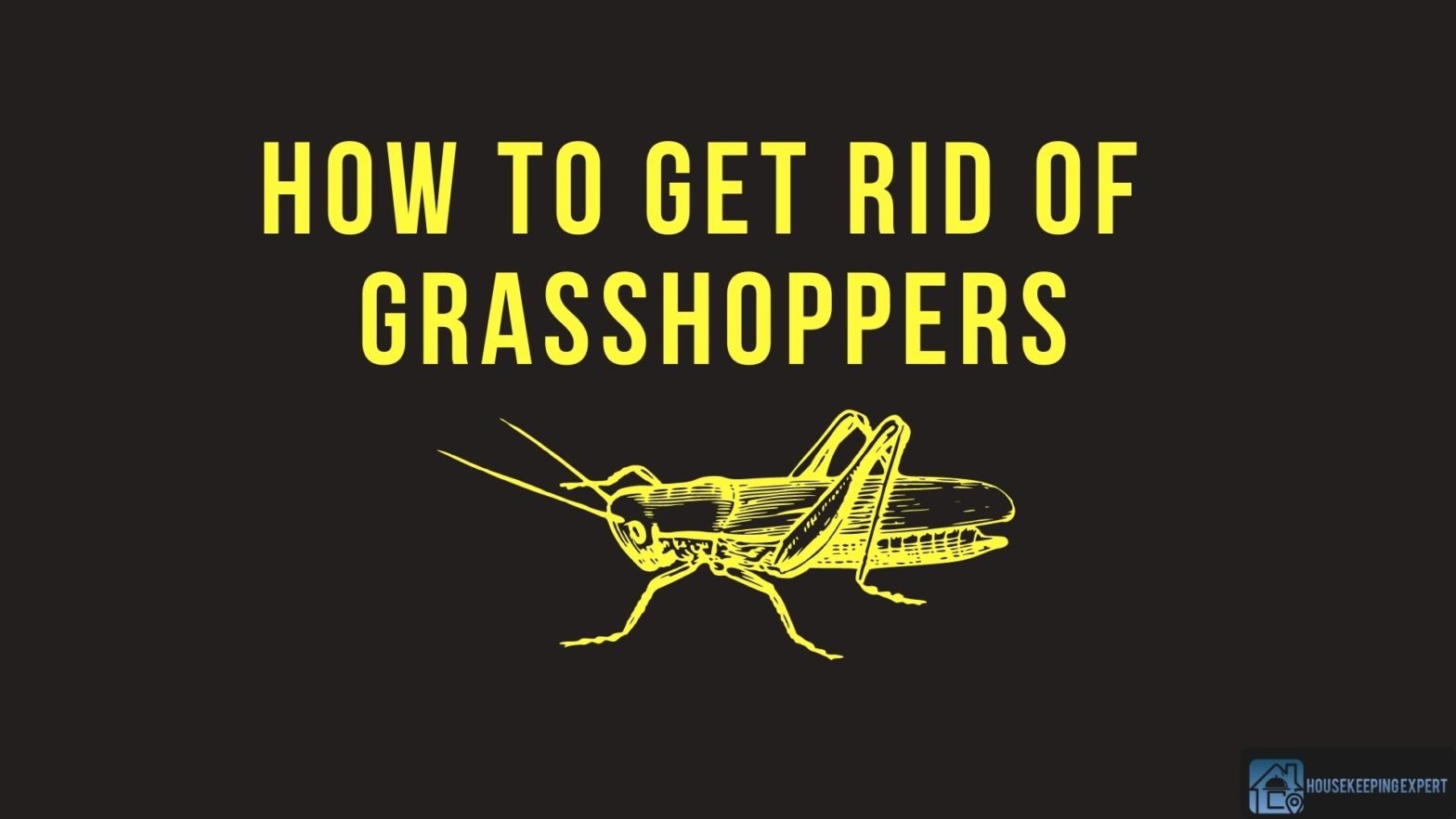 How To Get Rid Of Grasshoppers