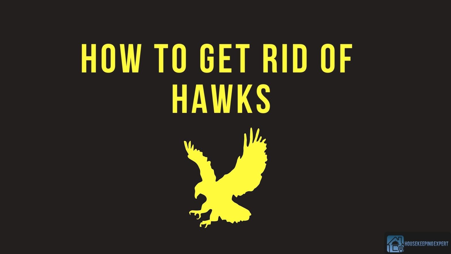 How To Get Rid Of Hawks