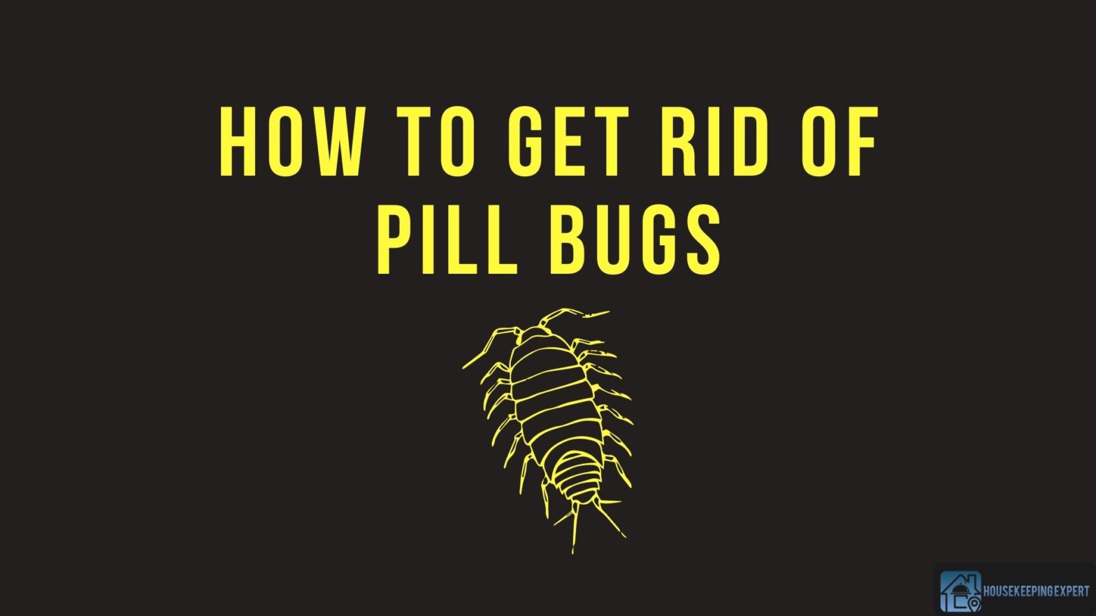 How To Get Rid Of Pill Bugs