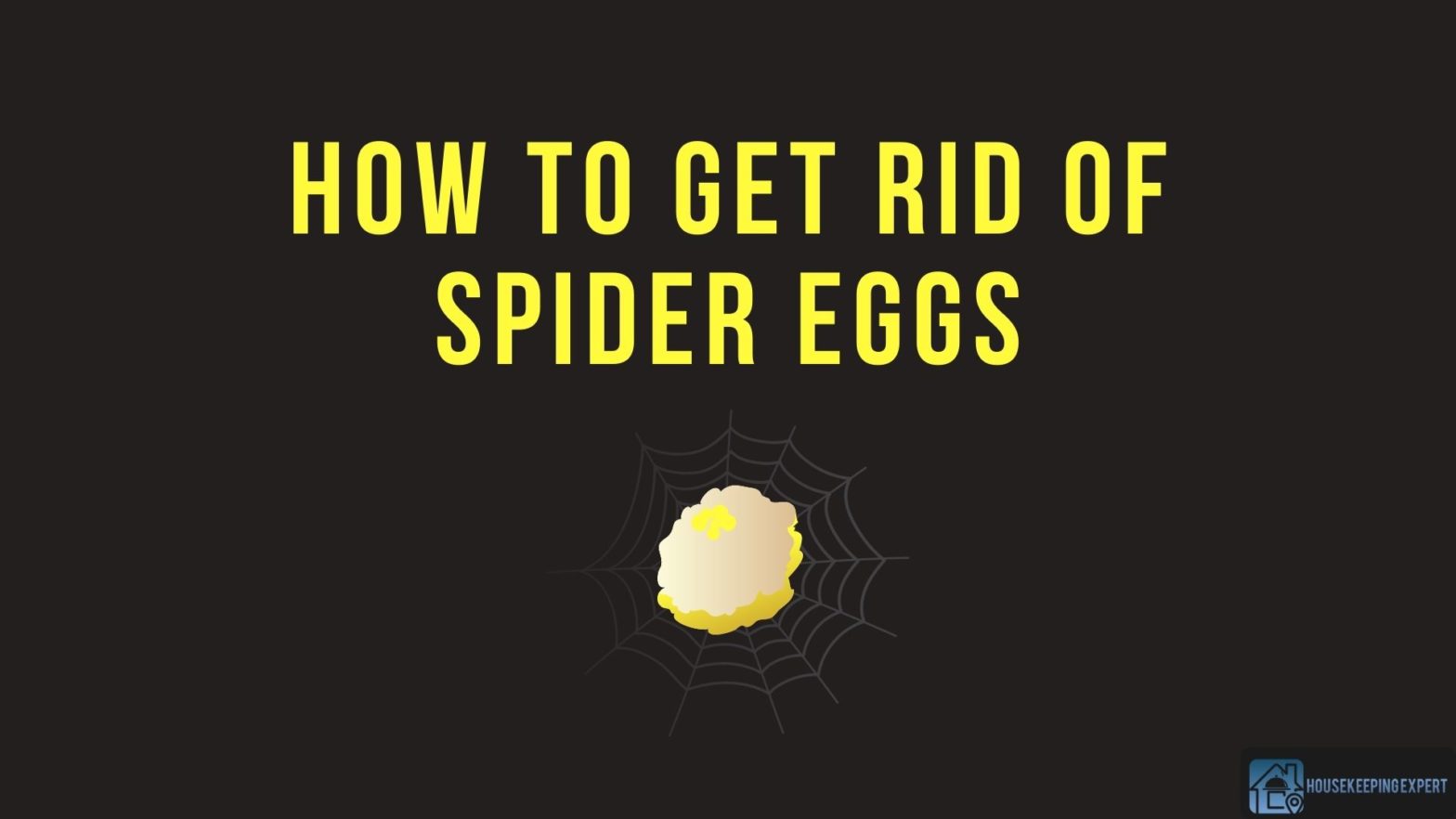 How To Get Rid Of Spider Eggs