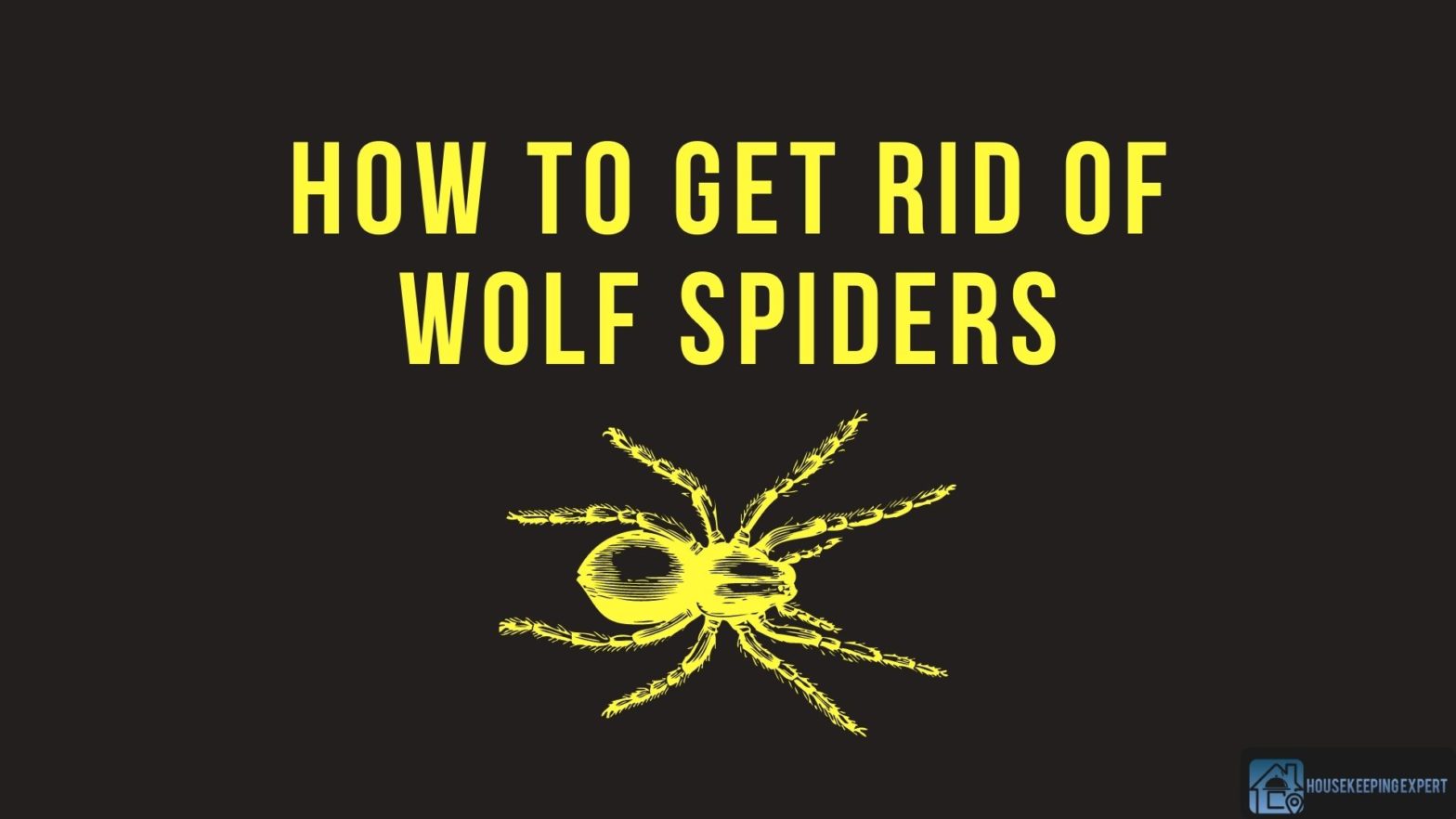 How To Get Rid Of Wolf Spiders
