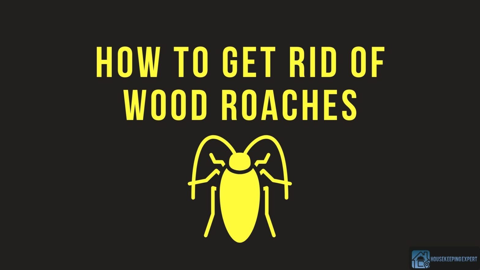 How To Get Rid Of Wood Roaches