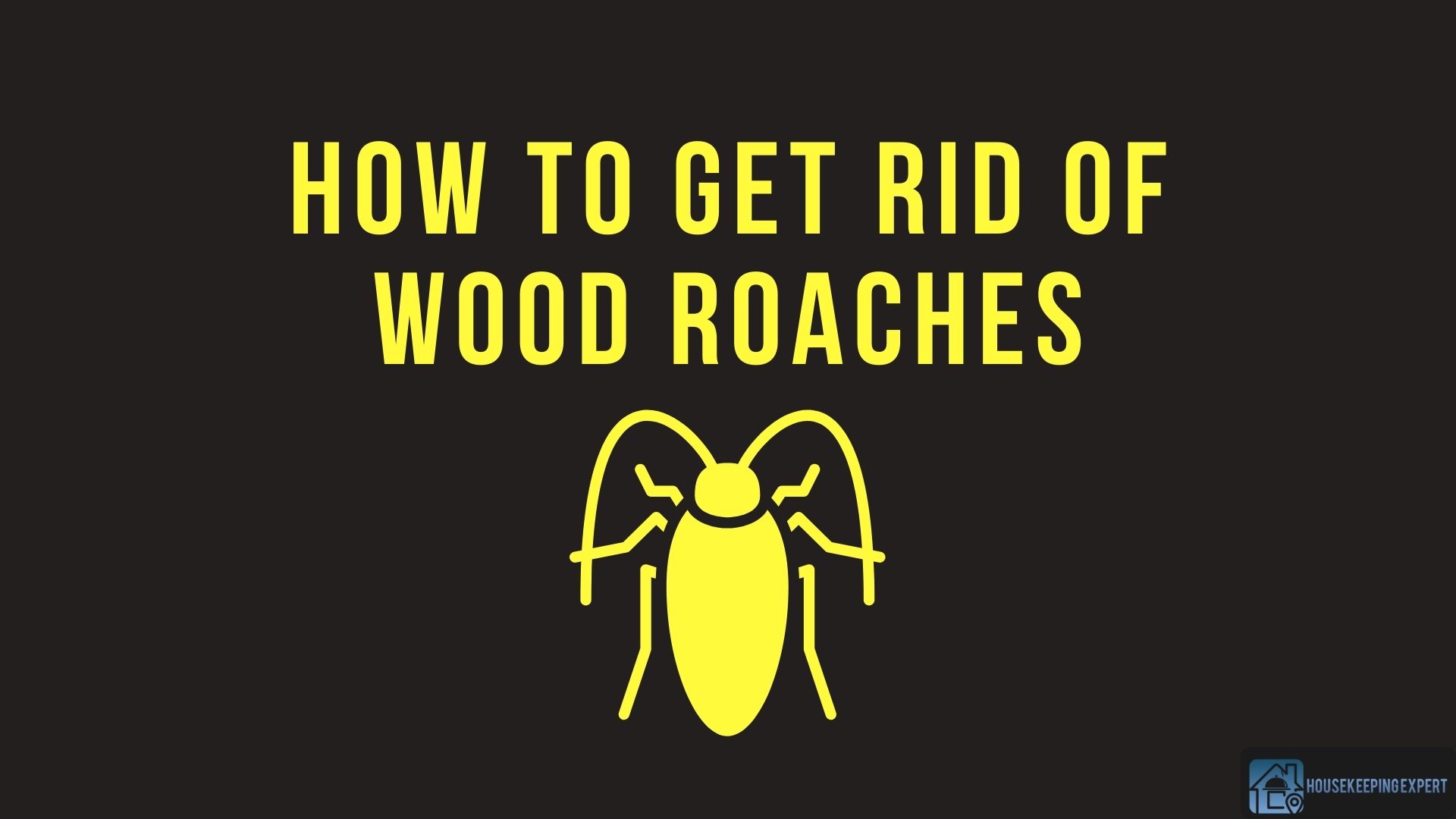 How to Get Rid of Wood Roaches | 7 Effective Hacks