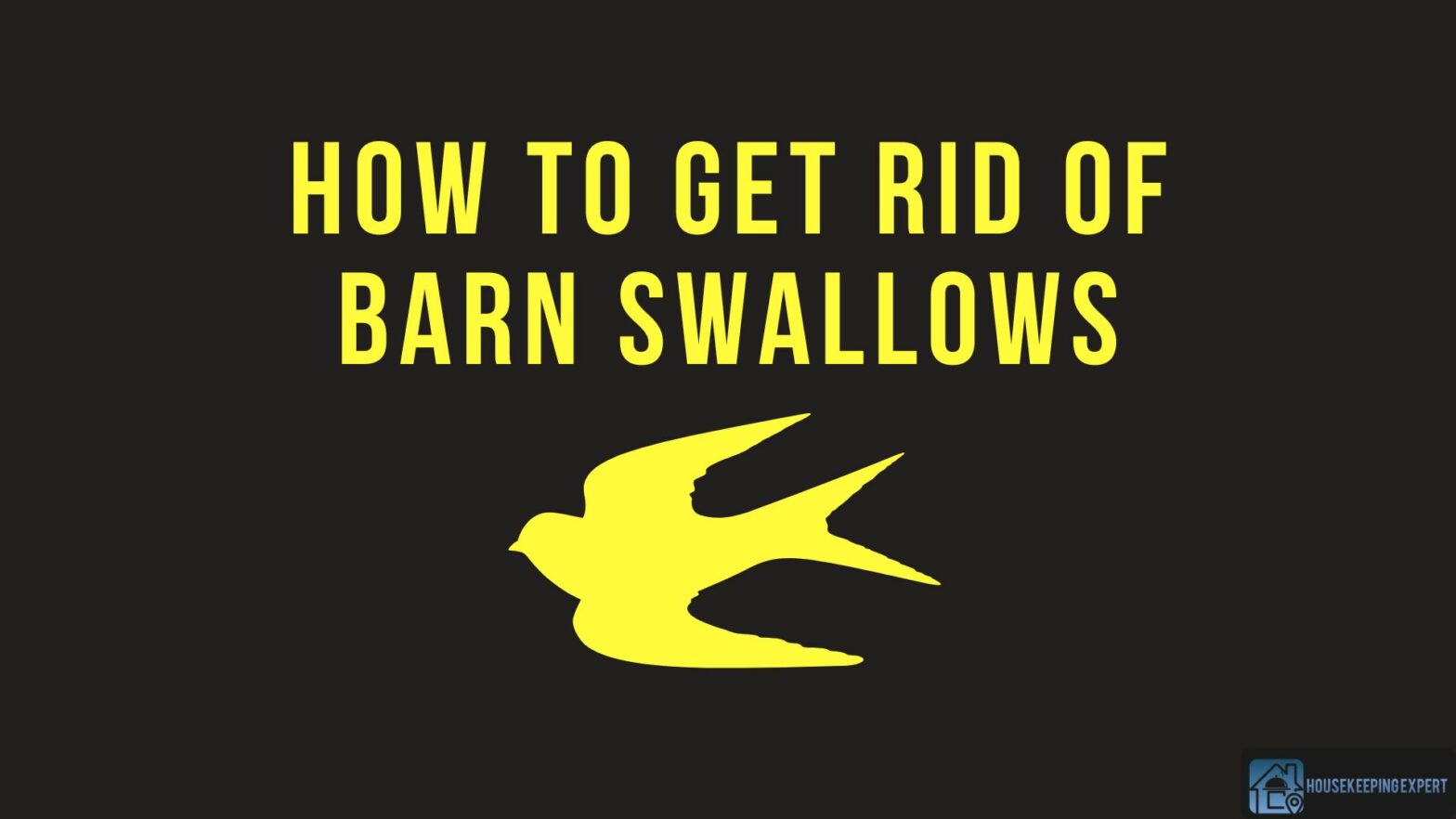 How To Get Rid Of Barn Swallows