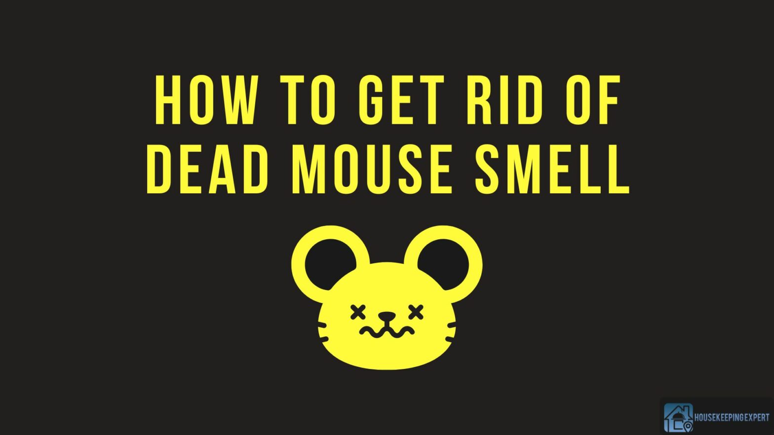 How To Get Rid Of Dead Mouse Smell
