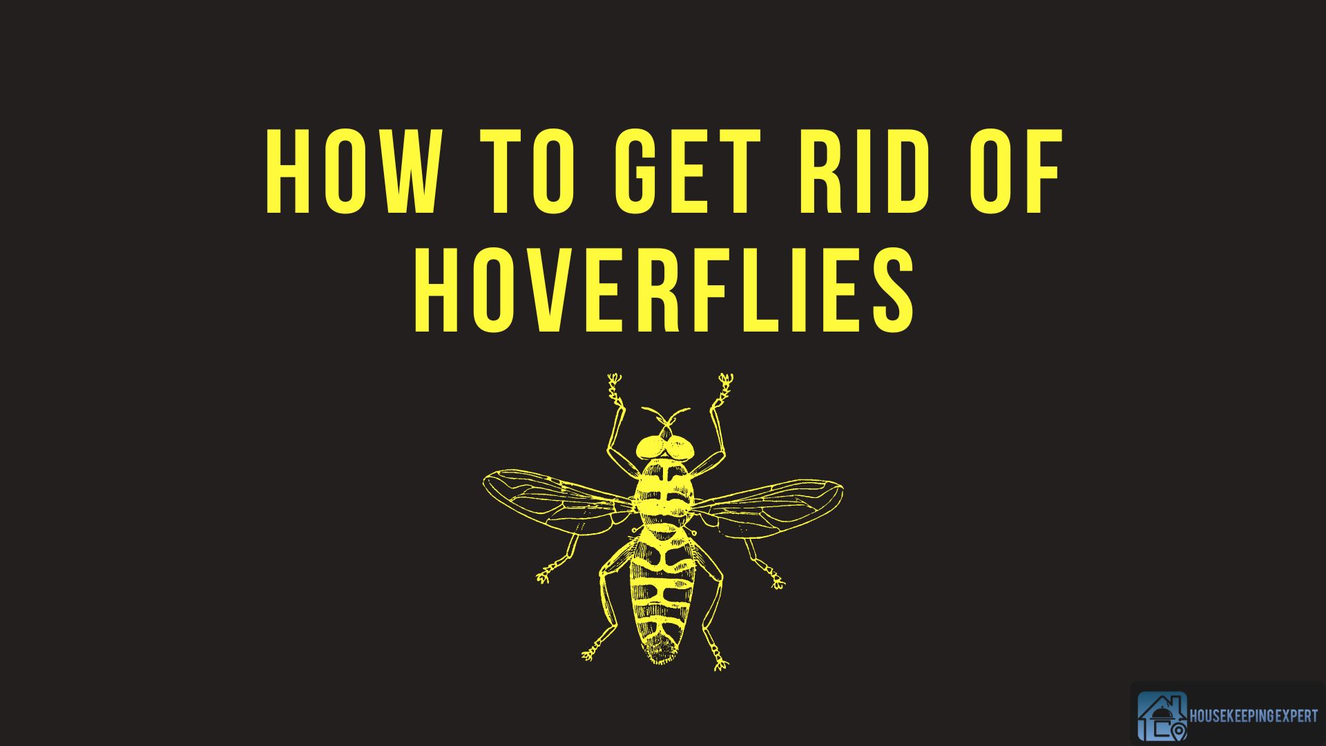 How To Get Rid of Hoverflies 9 Effective Ways