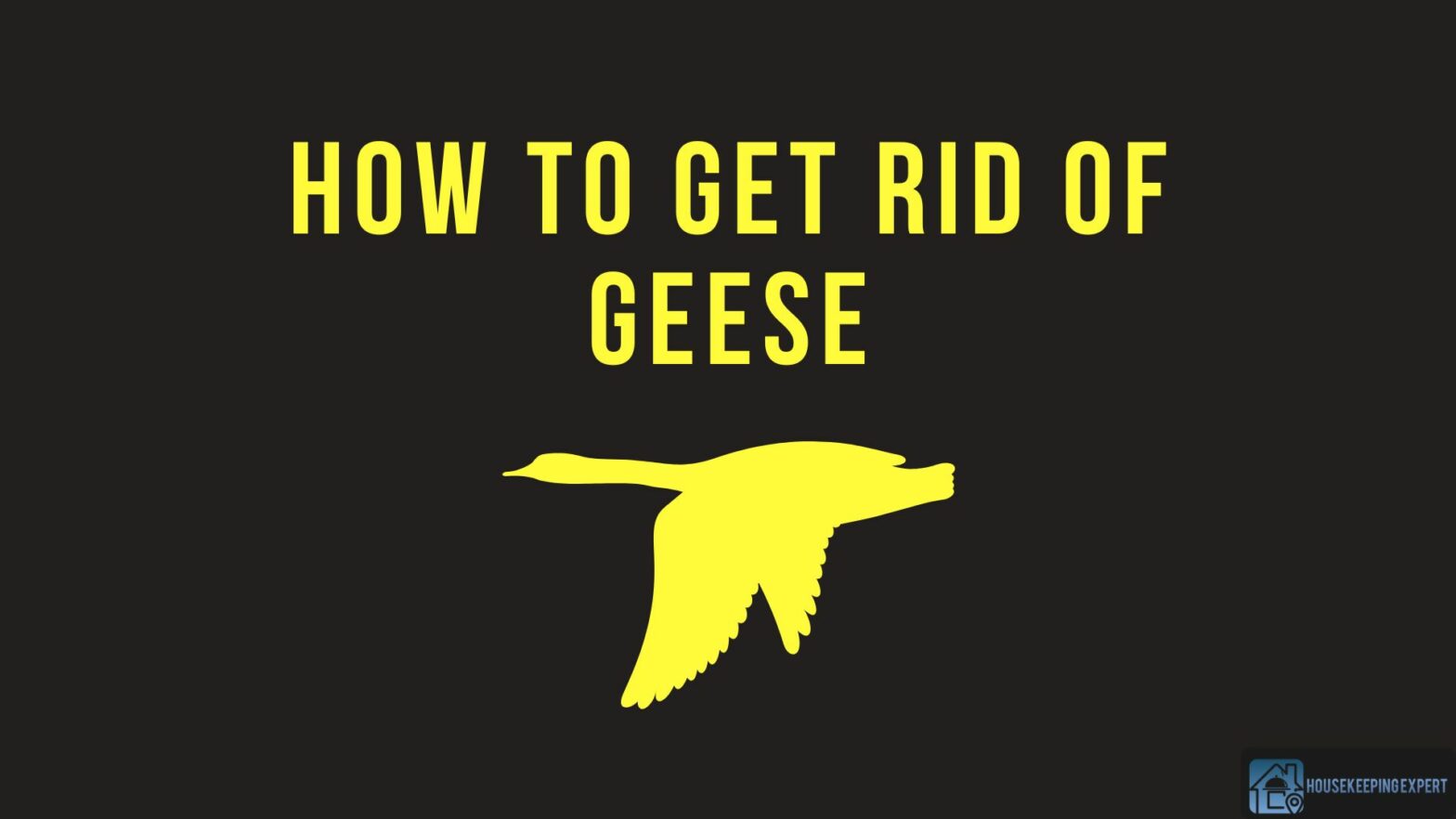 How To Get Rid Of Geese