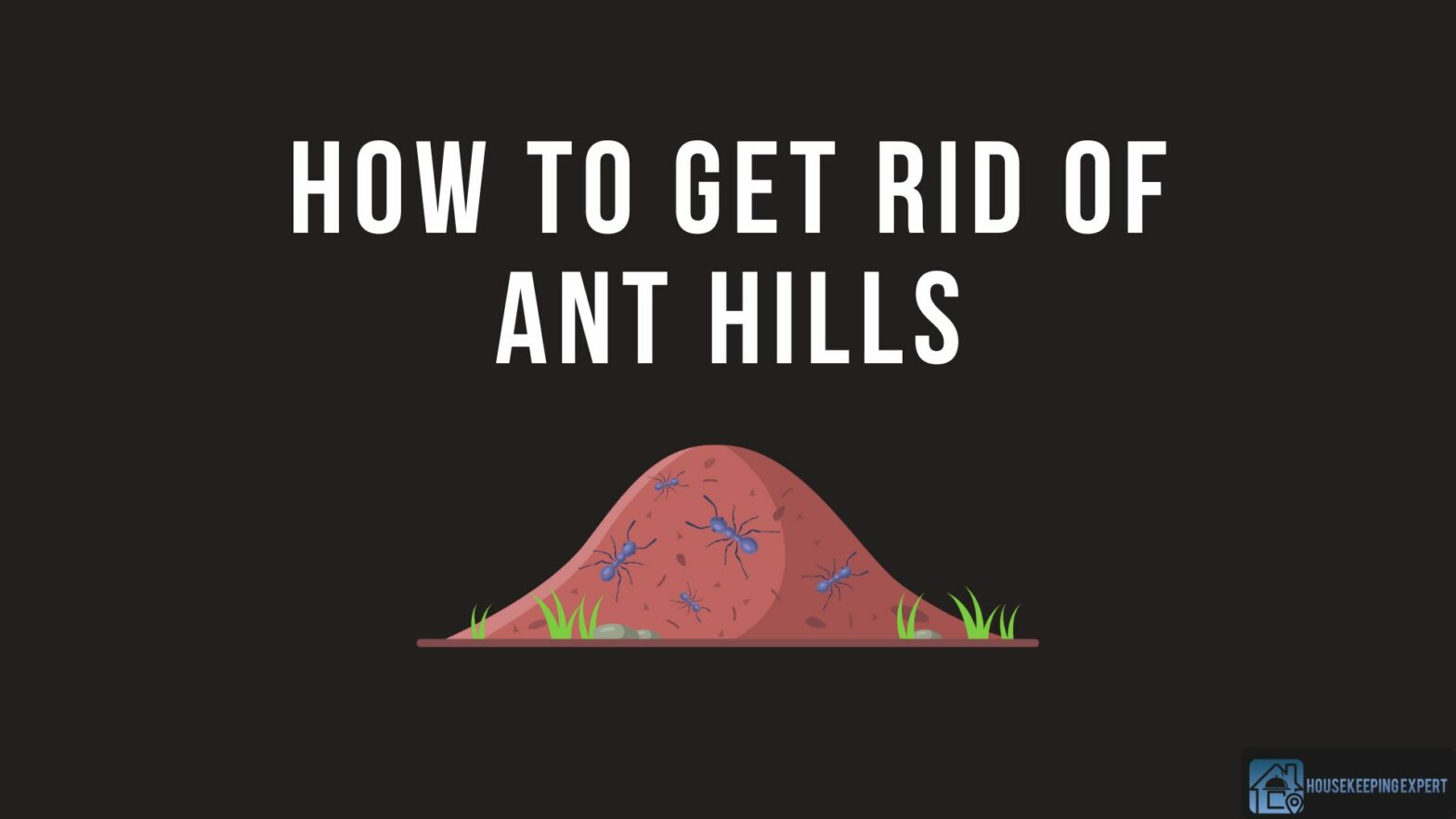 How To Get Rid Of Ant Hills