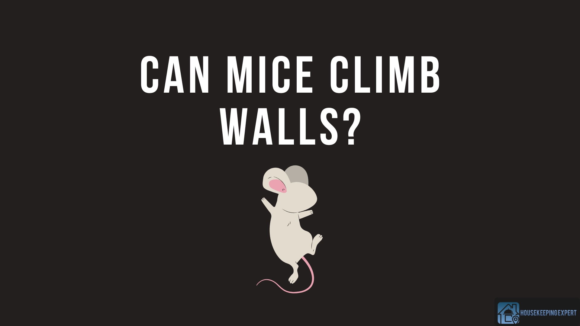 Can Mice Climb Walls All That You Need to Know