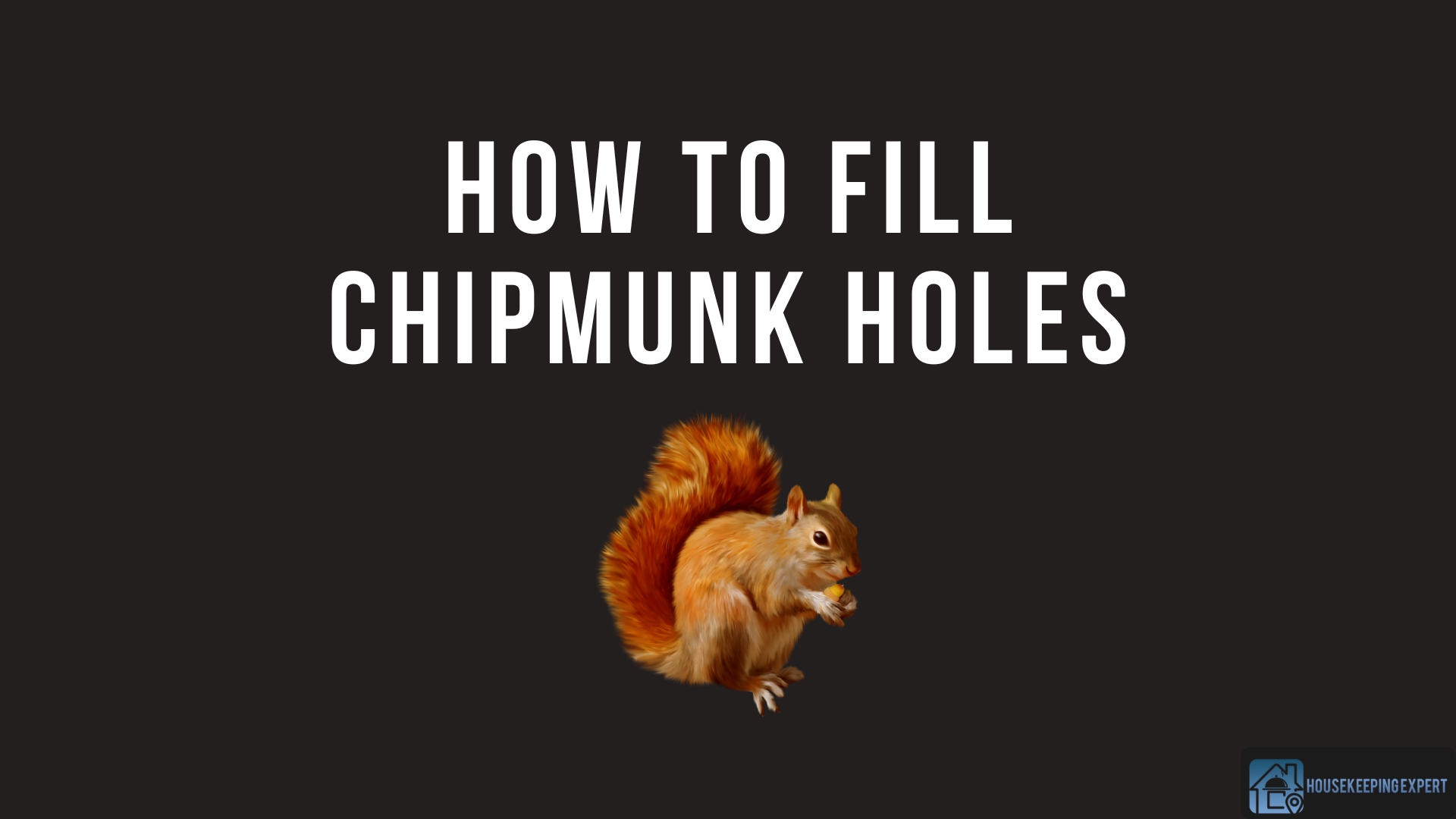 How to Fill Chipmunk Holes Easy Ways to Identify & Fix