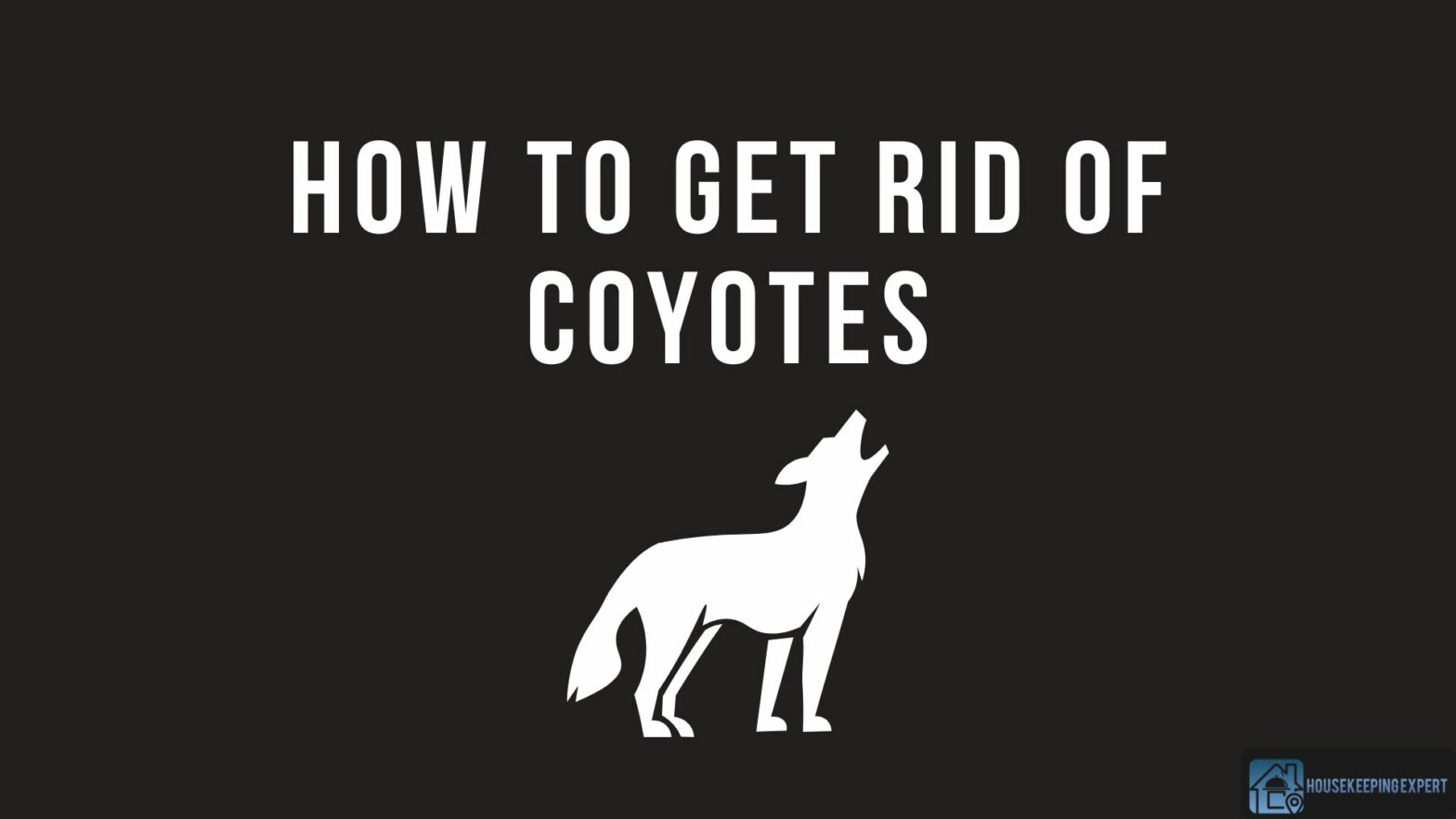 How To Get Rid Of Coyotes