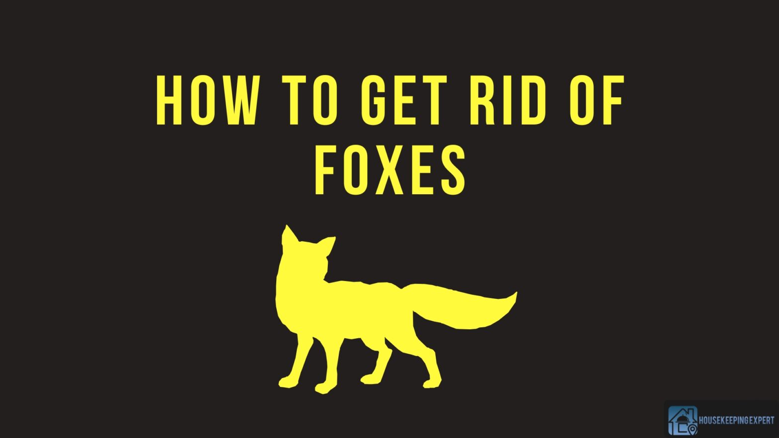 How To Get Rid Of Foxes