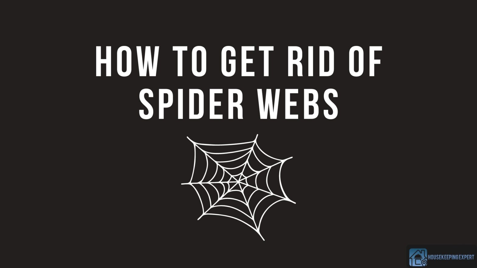 How To Get Rid Of Spider Webs