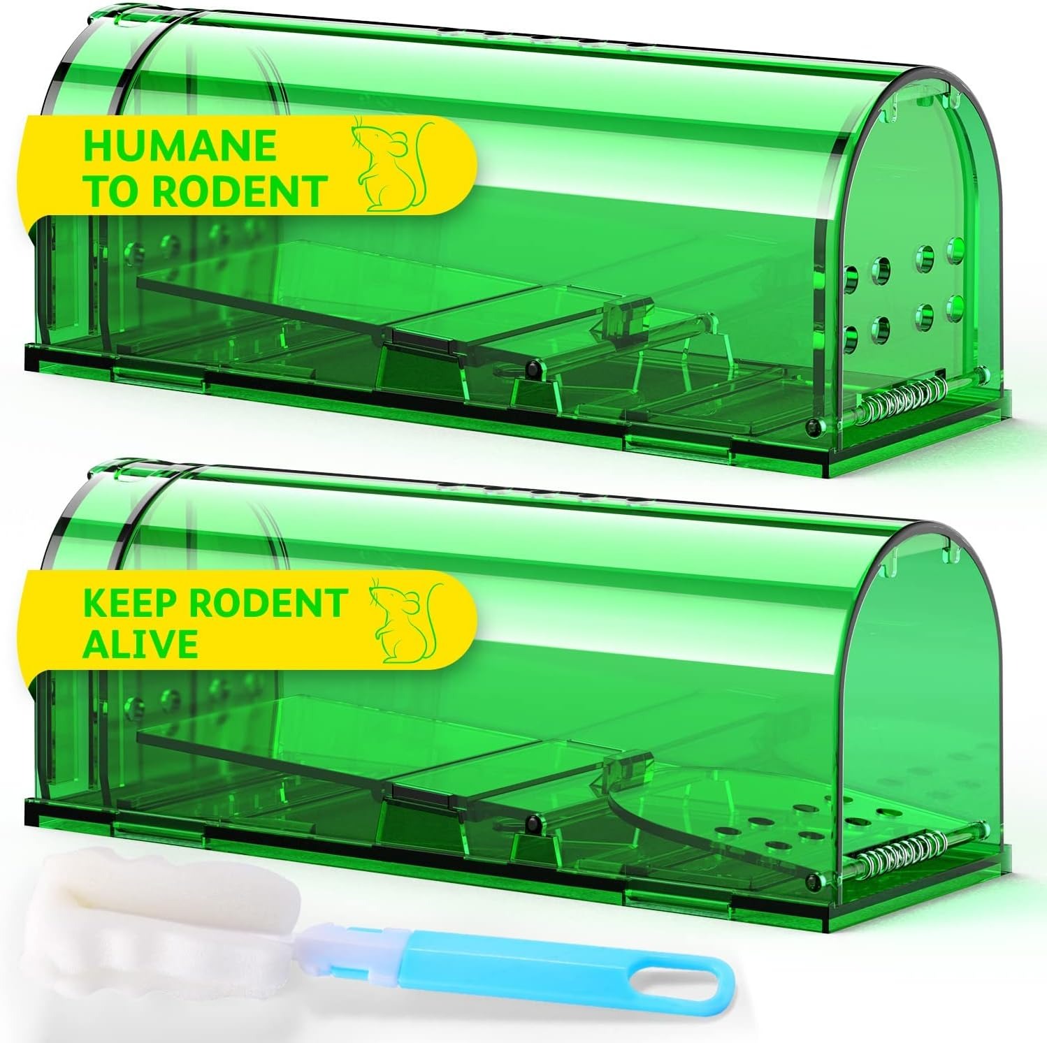 Can Mice Climb Walls All That You Need to Know