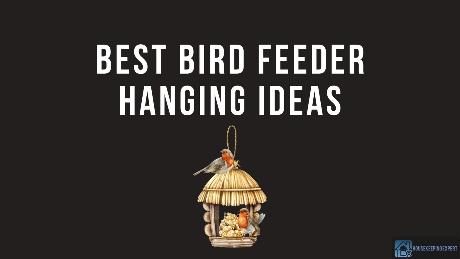 Best Bird Feeder Hanging Ideas