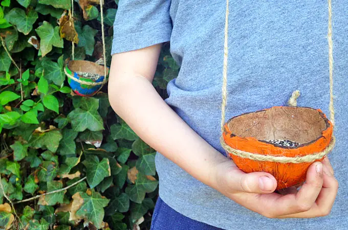 Half Coconut Shell Bird Feeder