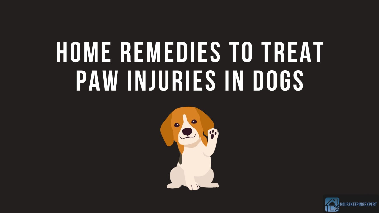Home Remedies To Treat Paw Injuries In Dogs