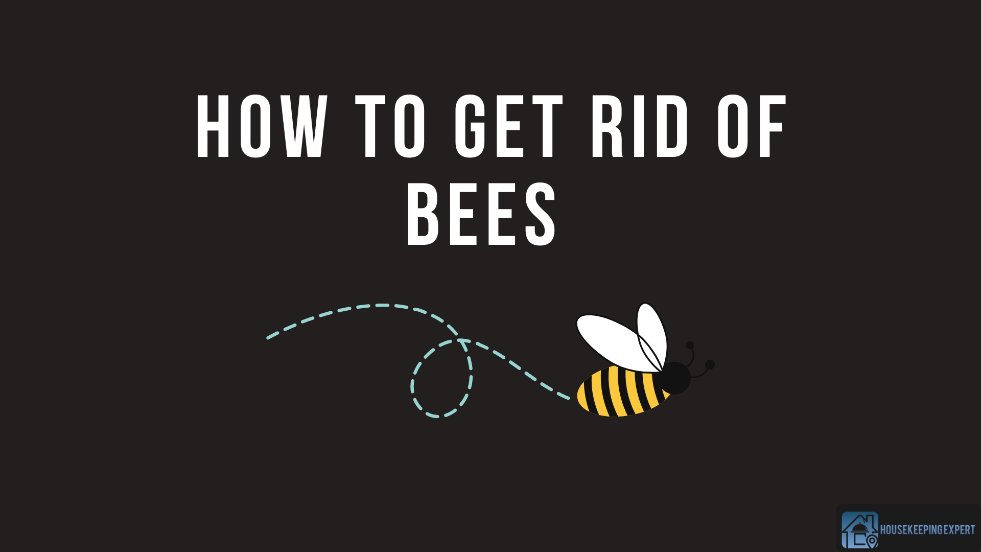 Gorgeous How Do You Get Rid Of Bees Capture Collection Gorgeous How Do You Get Rid Of Bees Capture Collection