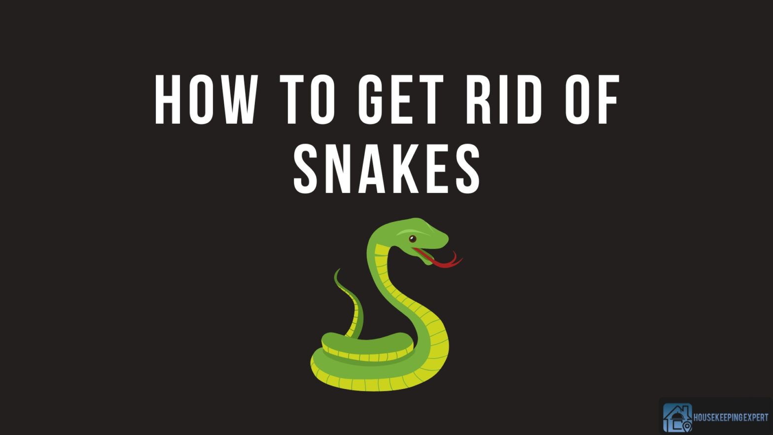 How To Get Rid Of Snakes