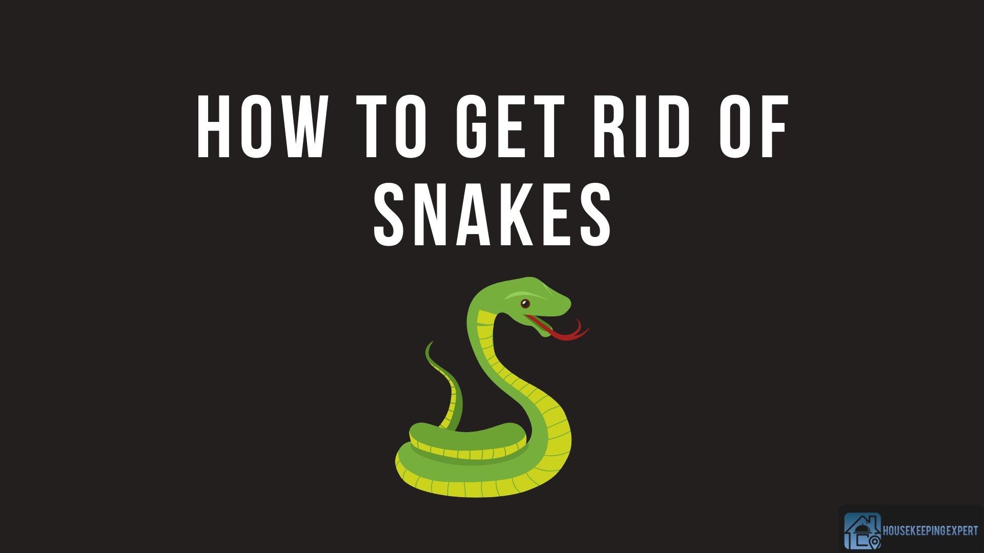 How to Get Rid of Snakes? 10 Effective Remedies