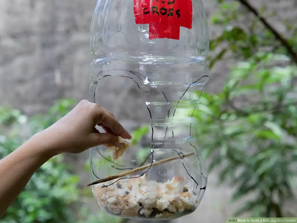 Milk Jug Bird Feeder