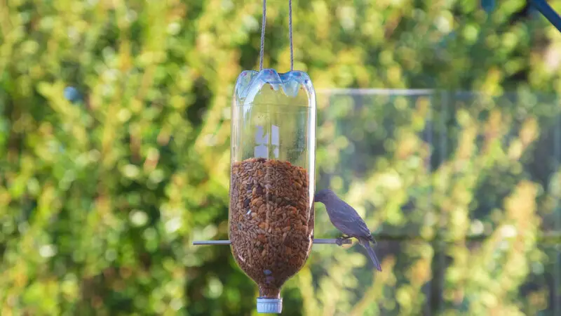 Plastic Bottle Bird Feeder