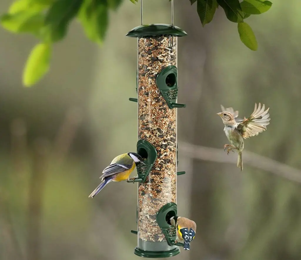 Tube-Style Bird Feeder