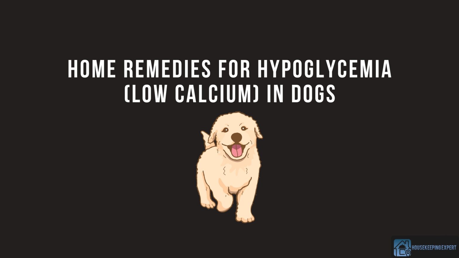 Home Remedies For Hypoglycemia (Low Calcium) In Dogs