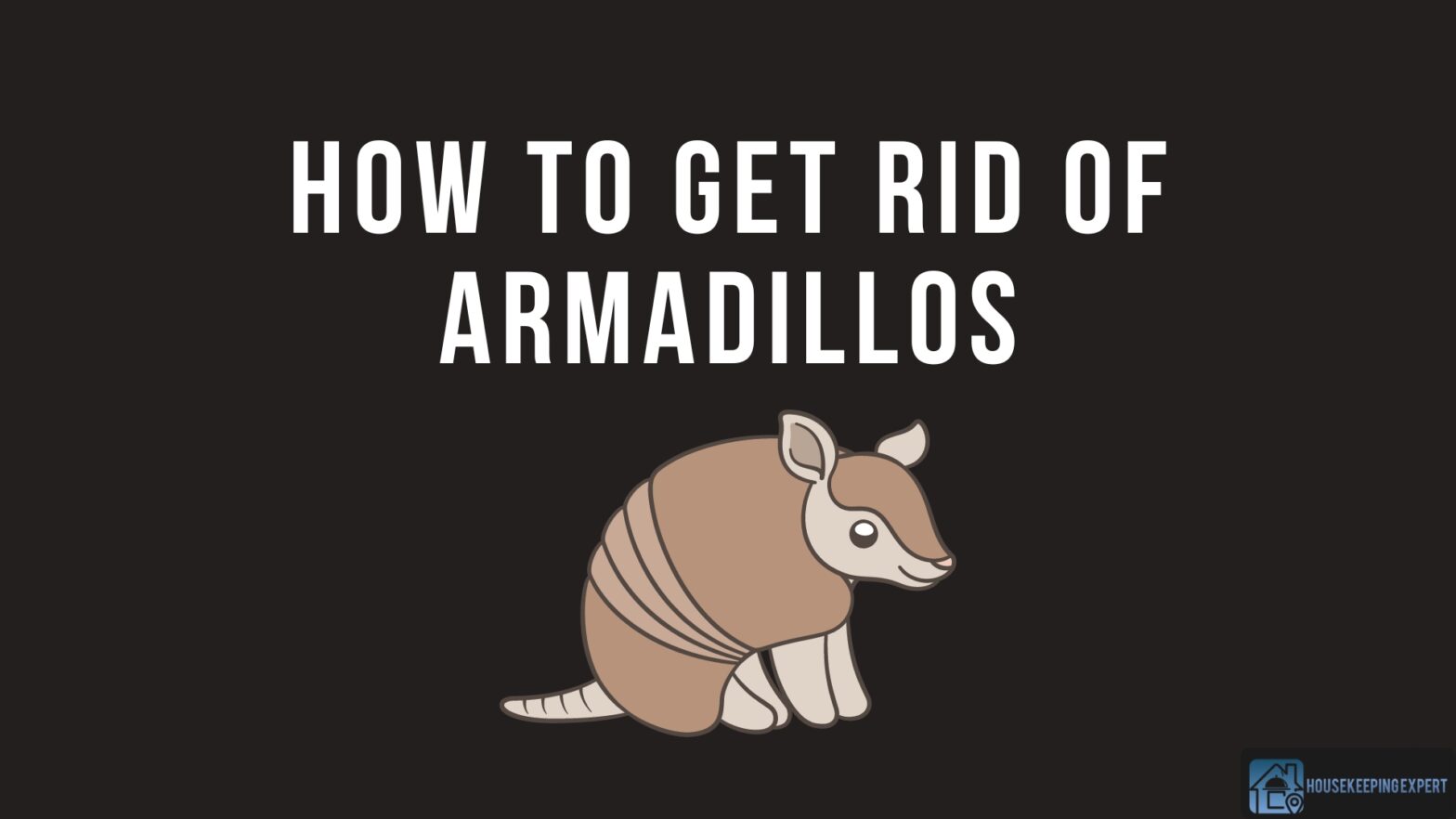 How To Get Rid Of Armadillos